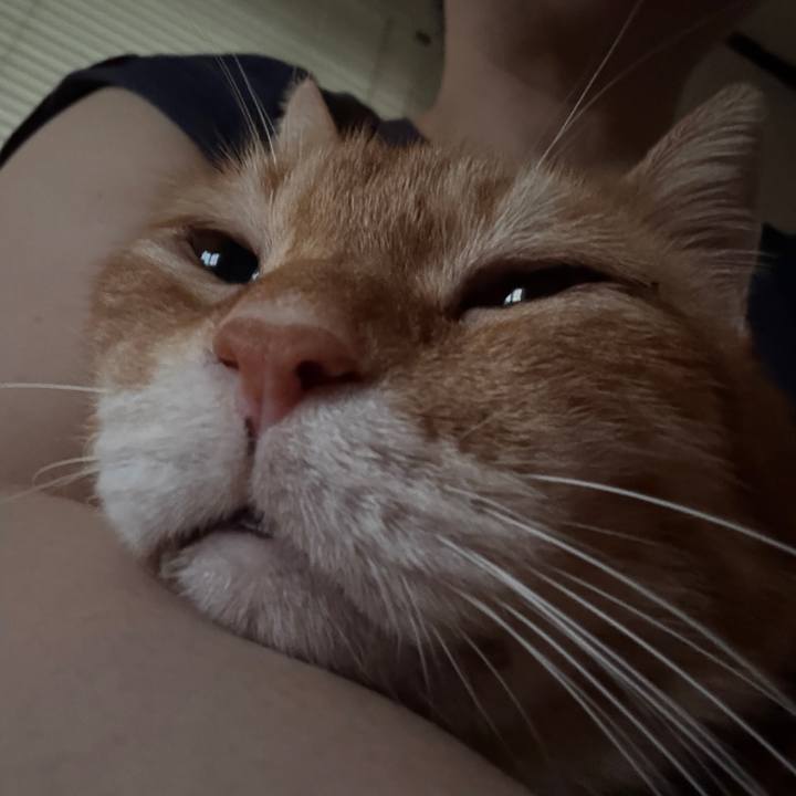 11002c73 5a70 4228 be72 a0c259e06517 1753523379029