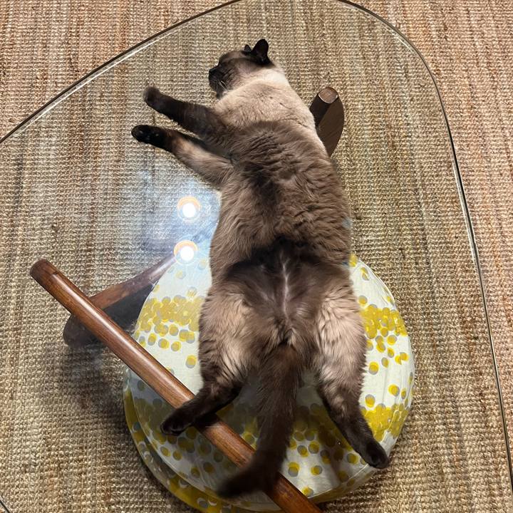 11003e69 36ce 4766 9af7 a810b05f1eea 1660298759897