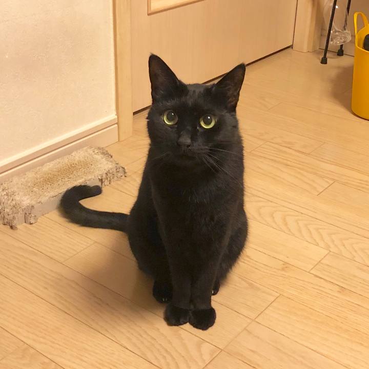 11006341 453e 4f78 95f6 538c327bdedc 1584544347198