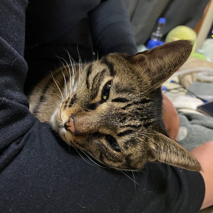 11007737 8094 45d5 ad49 7a737beee017 1610057813634