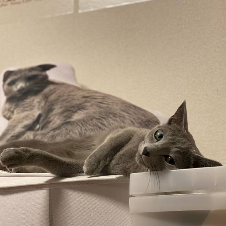 1100aa71 6057 4f28 abc5 b625f95874a5 1670232509511