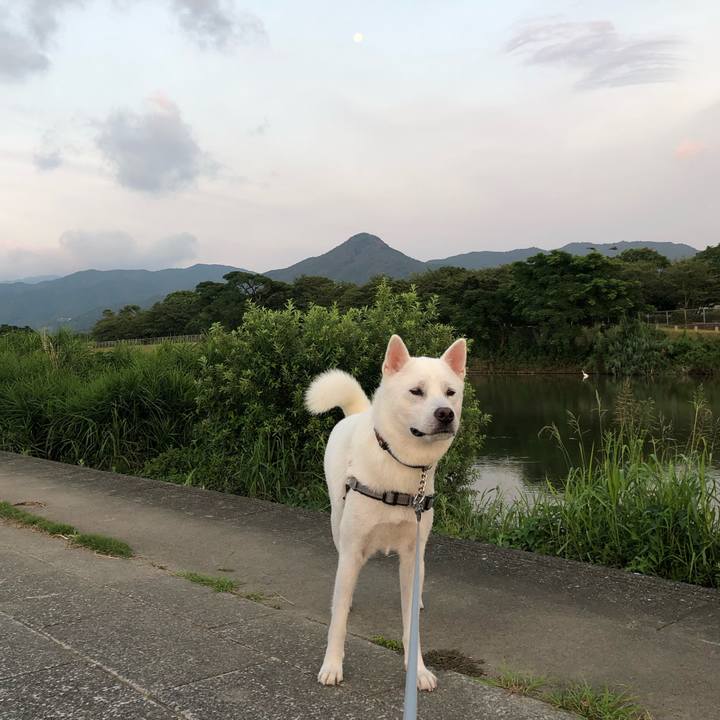 11011b89 e45d 47ec 8d24 441b45905249 1596660610192