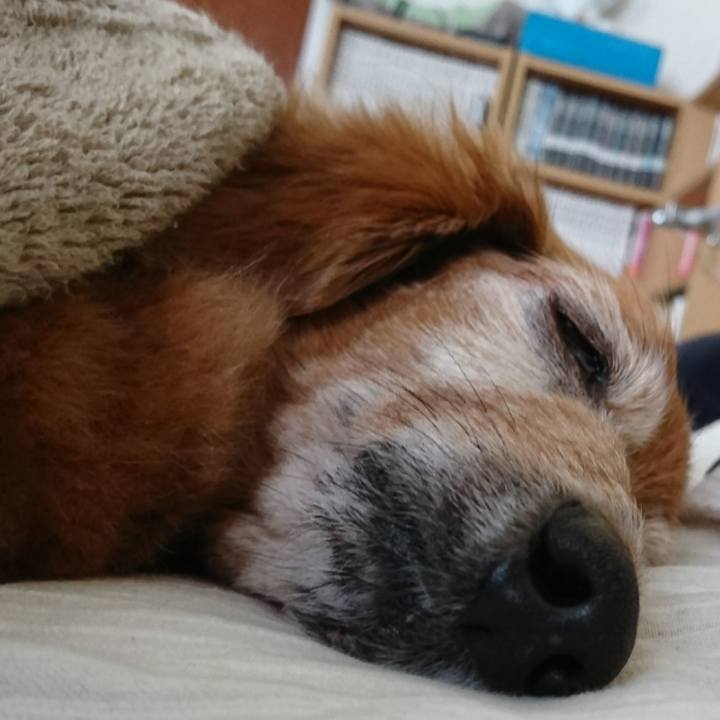 11014bb1 761d 4c85 8972 495f9a9fa9de 1509671242355