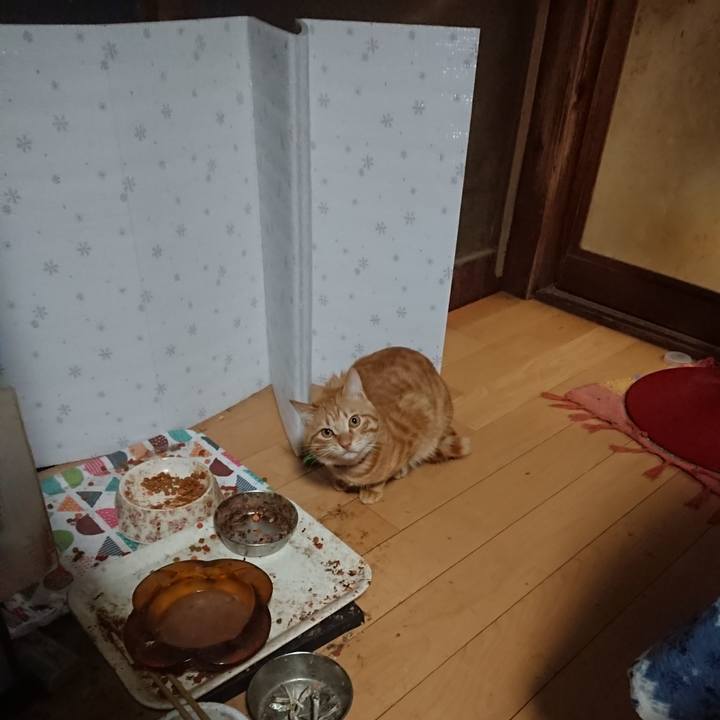 1101790b 42ec 480d bfdb 23ad68a30b54 1645217560406