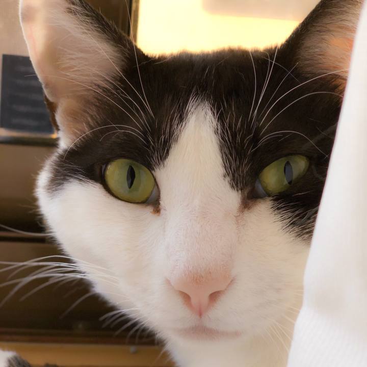 110198ac 5a05 4891 b76d 40248be452cd 1561422738920