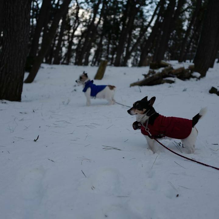 1101cbd5 d5e7 428f ae61 19581f5419ea 1516943271605