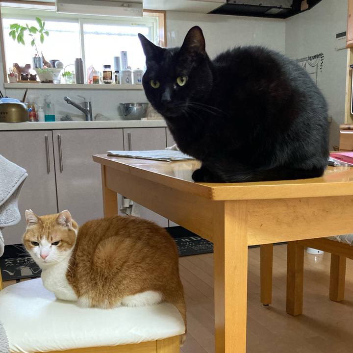 1101f7b5 95f9 4e1e 93cb d4f0a629d8fe 1775177574759