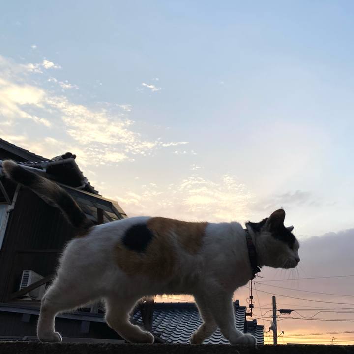 11020b3e 6a52 4b9b b576 baecf3e73e2a 1637015147367