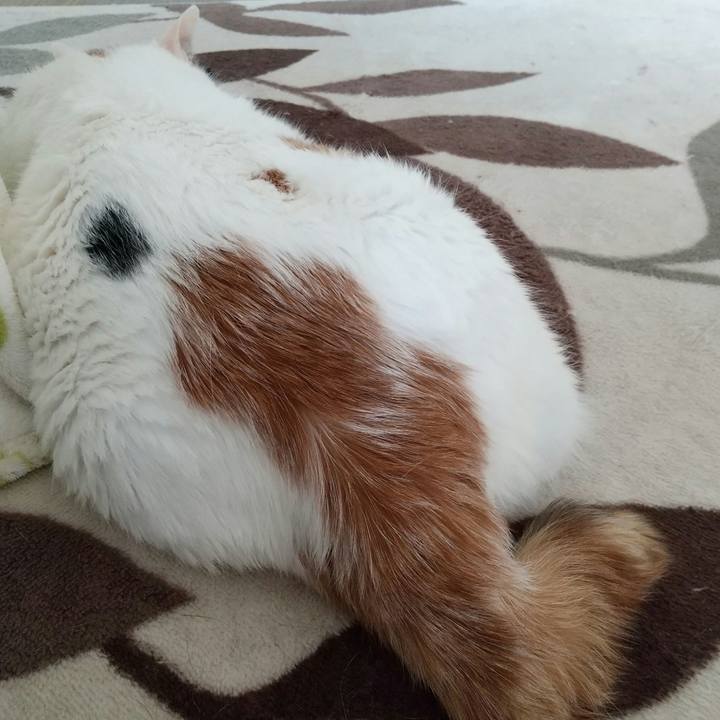 11021478 2bab 4ba0 bc79 d8051ec4d3c5 1588982067387