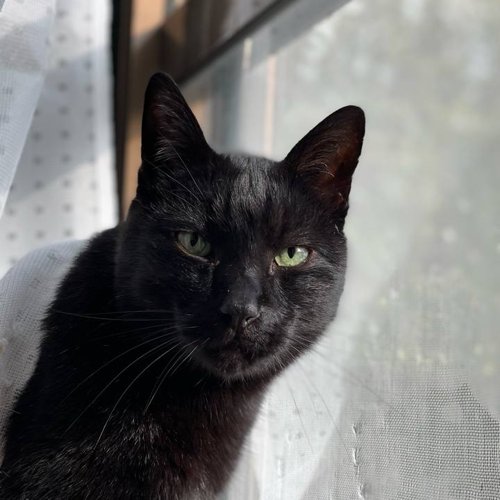 1102210c ef3c 4713 a52b f125236d755f 1644890597484