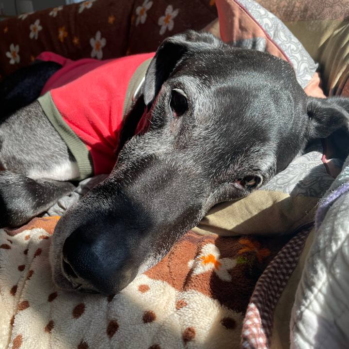 11022999 08a4 42b5 a679 7be174b718e5 1612403856356