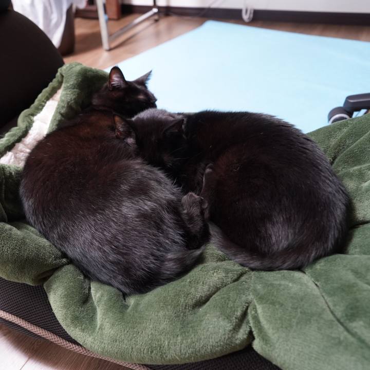 110239fa f2ad 4c57 83dc 7baa64bdf490 1609255155486