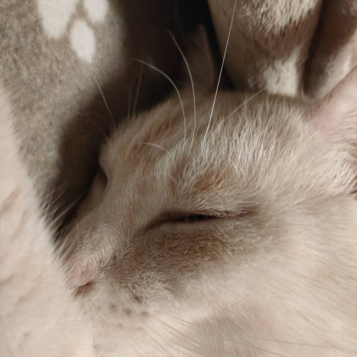 1102439c 53ac 4be2 ac41 213bd2216022 1678699884535