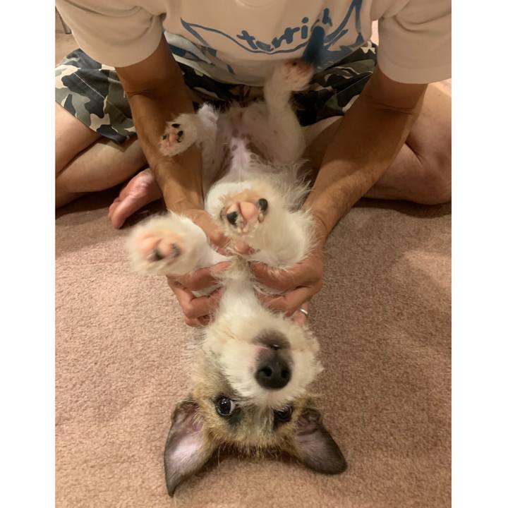 11026811 4bc8 493b b089 2ae48c3592bf 1564836122403