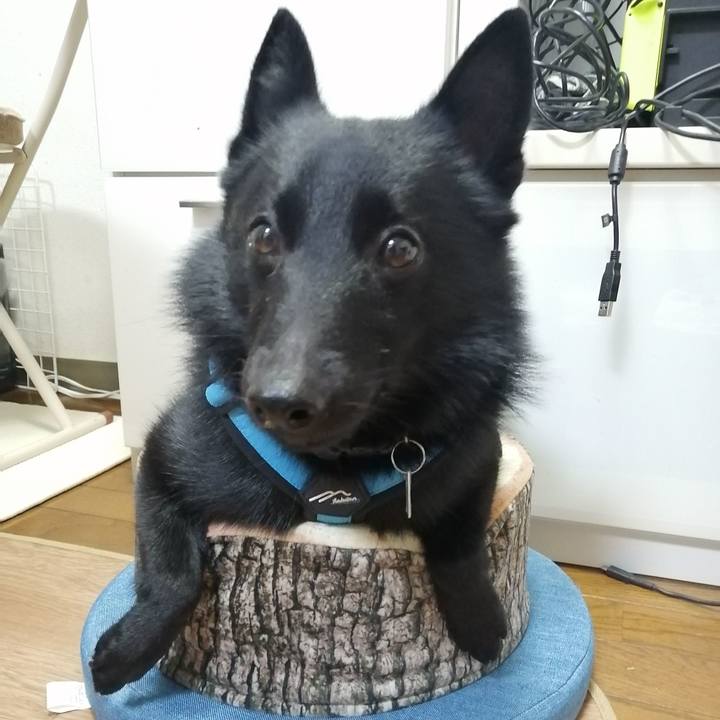 1102bb3a 6b26 45b7 a67e d4371f72831f 1639088734144