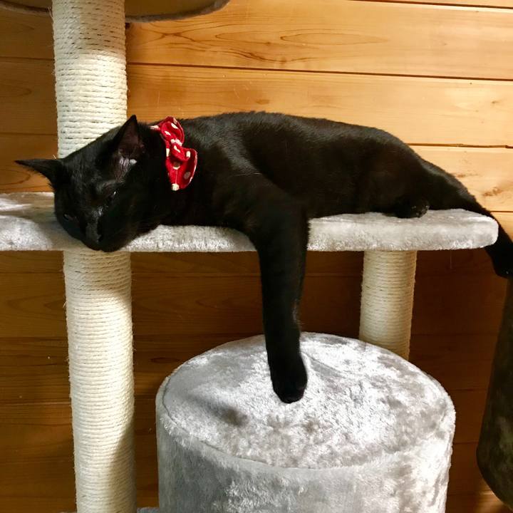 1102d72b 6a04 473b 8715 a612653d99a2 1516317698071