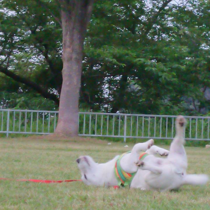 1102e560 3727 4d0d ba47 8d05f1ca1854 1527293519154