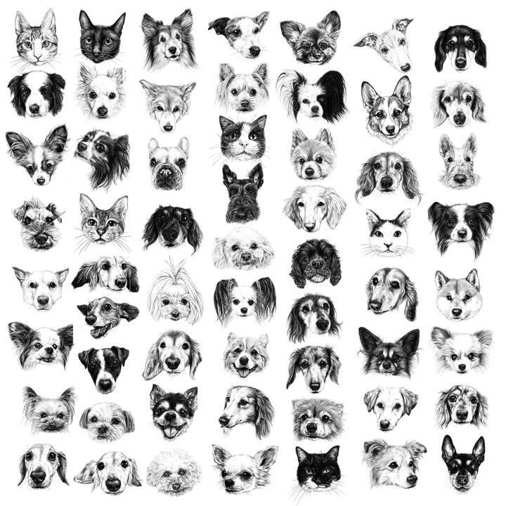 11032393 1628 420c a2f2 1665d175c7cd 1544452589486
