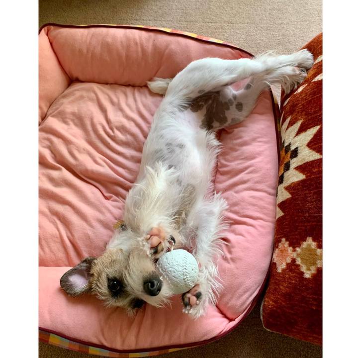 1103830f 81ef 4fb6 a5ba 86c6b2da4006 1604705280109