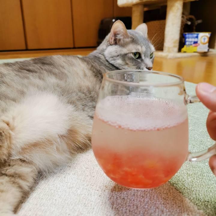 1103a088 656e 42f3 b4aa 701a3b75835b 1619365436409