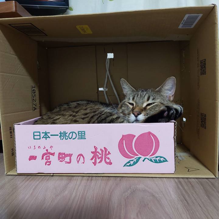 1103aa14 92c1 461e 8fc8 01b9369d43da 1650111555160