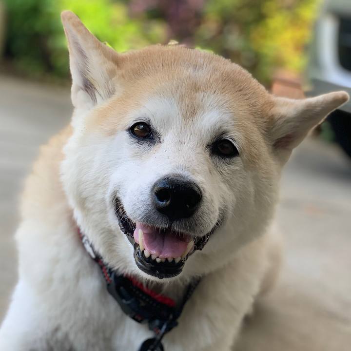 1103bffc 8904 41e0 80aa ea3ae9f1320a 1640948400604