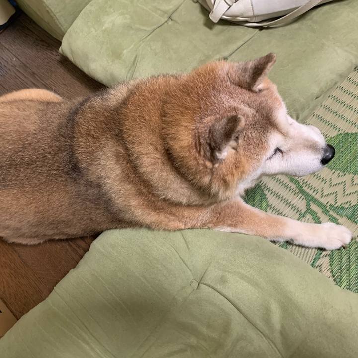 1103faf0 16f0 4985 8f67 f89ce7370cb1 1623751961969