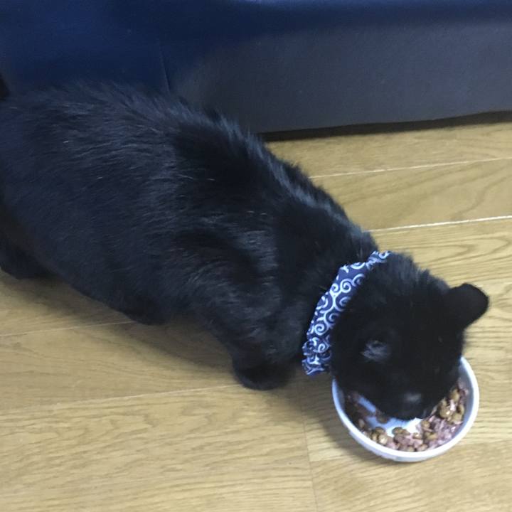 11040e6c dacc 4894 be99 644266b538a9 1536570116391