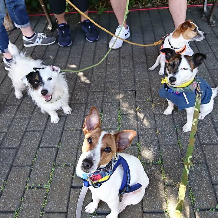 11047450 6401 457f 8205 e32ea2fa4f6d 1526125042963