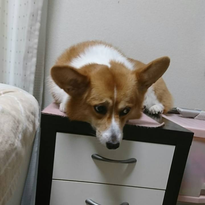 11047e88 782f 4278 97e1 17511aa02ac1 1539217324980