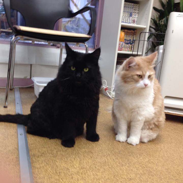 11049e17 97d0 4e90 bbac b2de170ade29 1512261170290