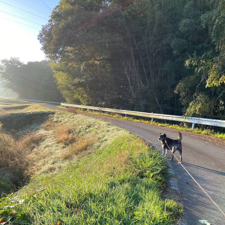 1104a38d b5d1 499f 8c42 c0ec7a38e956 1635981589320