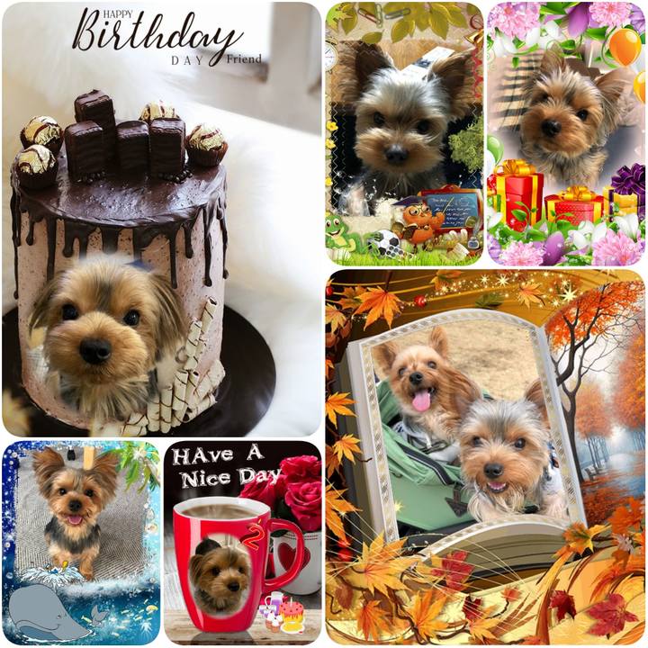 1104a9b8 a30e 4928 86dd 19324bfc5835 1601220162988