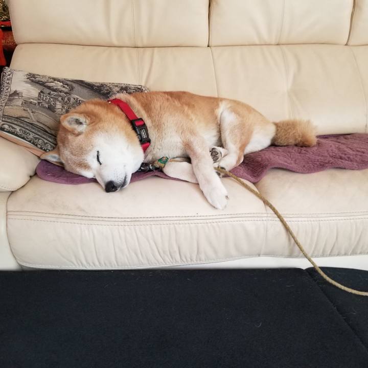 1104b2d2 58bc 47e3 ae9a 3120c04424d1 1714090892630