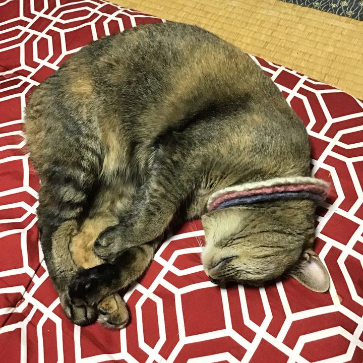 1104c67e 1295 410d bde2 4702c3fdf8d5 1625653433772