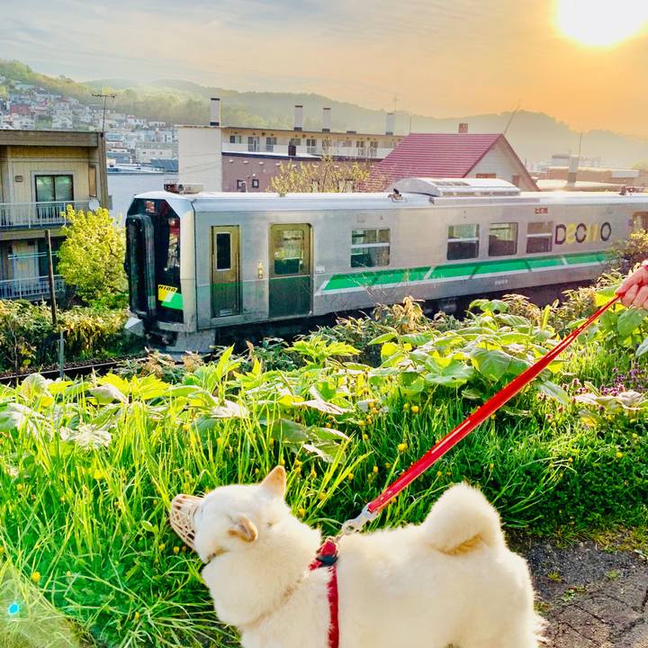 1104ce21 404c 41dc badb 8111599042ab 1589835201633