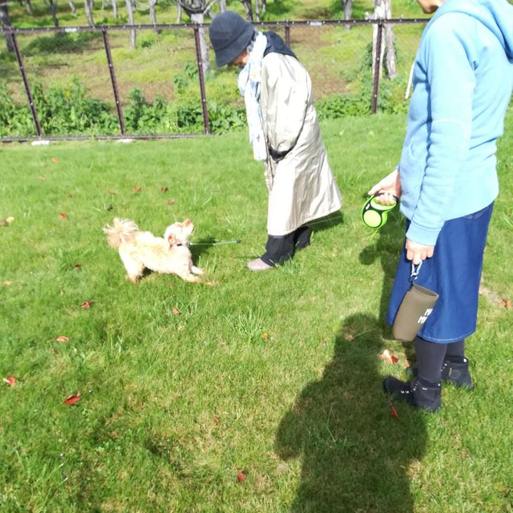 1104d711 b3b4 4623 be5d d4aafc545fe6 1570321000355