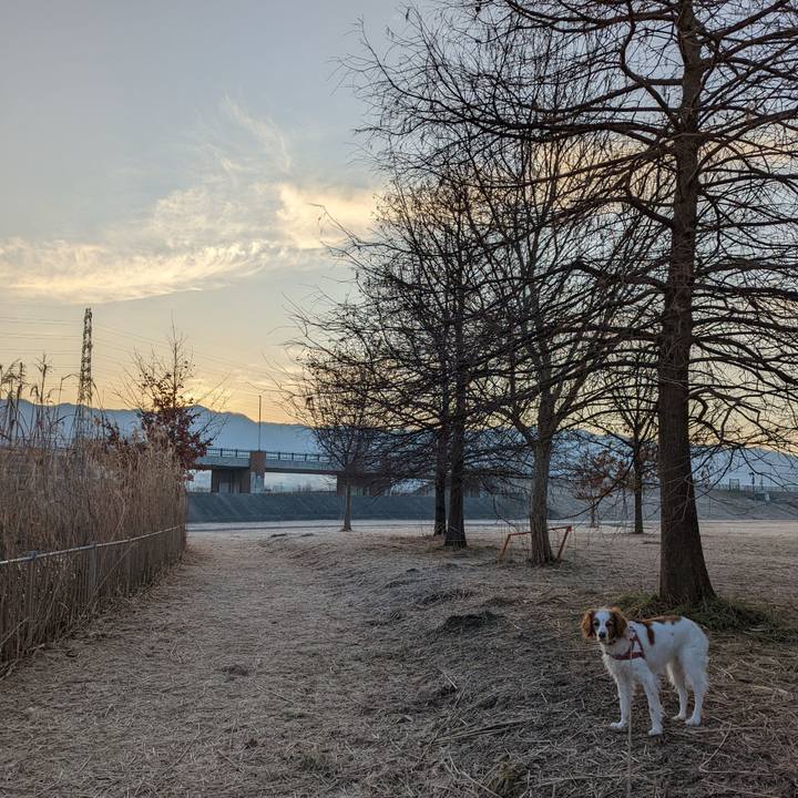 1104fd04 395e 4f04 b05d 802295171f5c 1643157012914