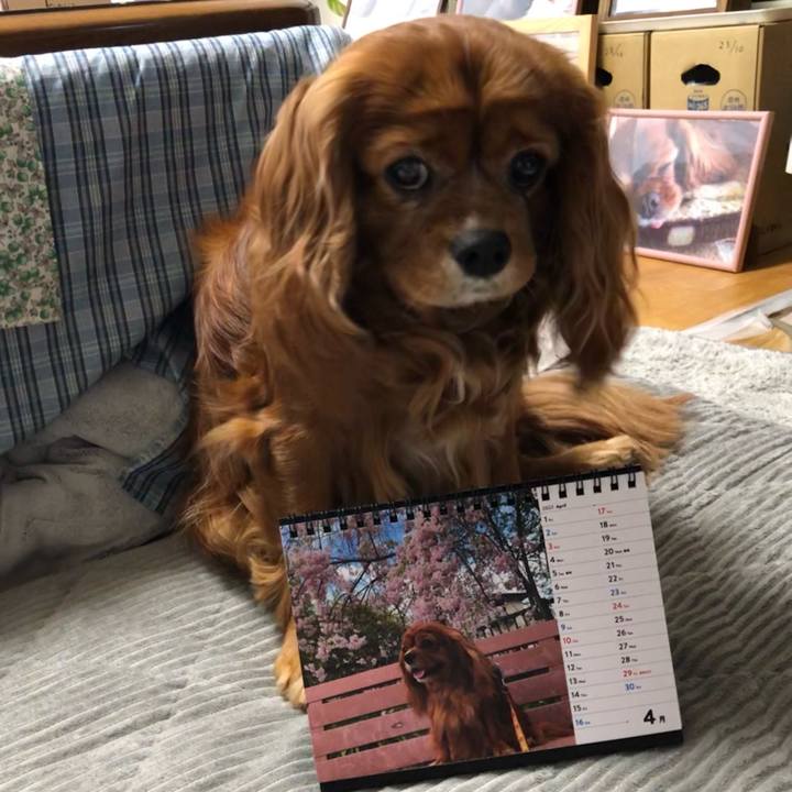 1104ff0b 8ad6 444c 9648 9da2d0d38721 1648764741673