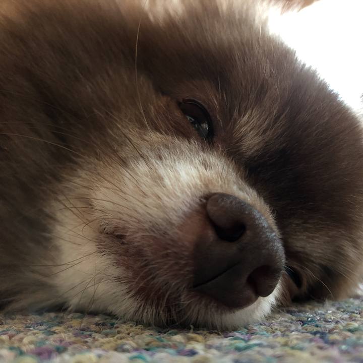 11052278 3acd 4fce bf9d 84cae9335063 1562198321176