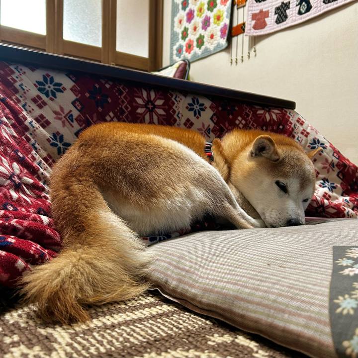 110548a2 07be 40be 80d0 894f9f7d4c4a 1763552065645