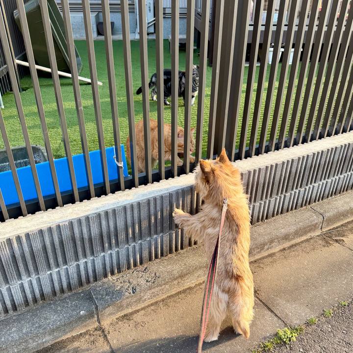 110579db b9d2 4f8b 8179 bc30570d57f9 1774156304381