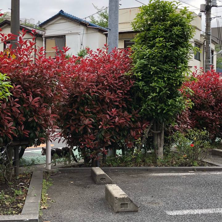 1105c82a 38d9 45b0 a8ec 45fa8738f916 1523867574257