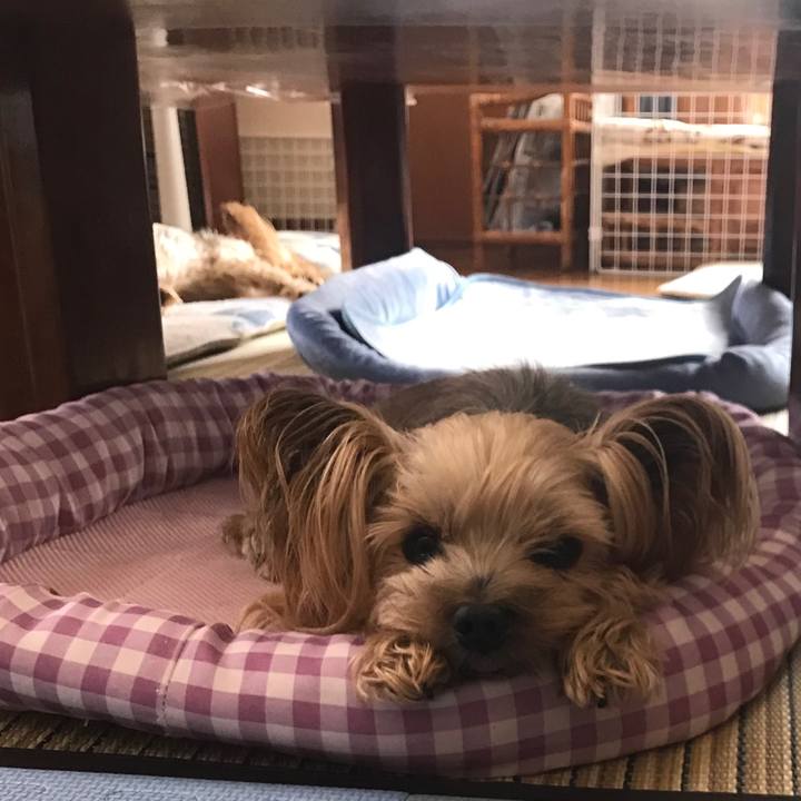 1105d055 0253 4efa 9f6c ebb88583bfd4 1623579400981