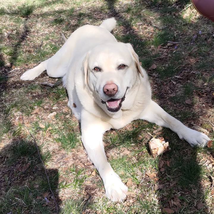 1105d6d6 1b8b 42ed a254 7ecb2b0f4e0c 1683189575321