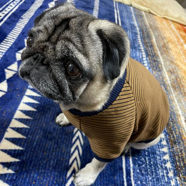 1105ed16 0ac1 4fac a394 cddfa74b53db 1636887896692