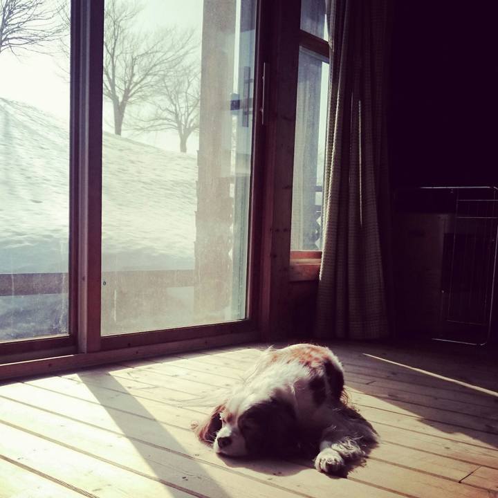 1105f0ab b3ff 4a67 a1e1 1259825238c5 1520901157326