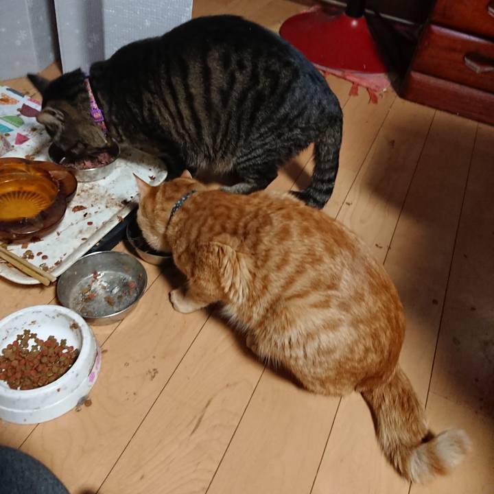 11061ba3 8809 4438 8283 5fd00ba934f0 1649578165813