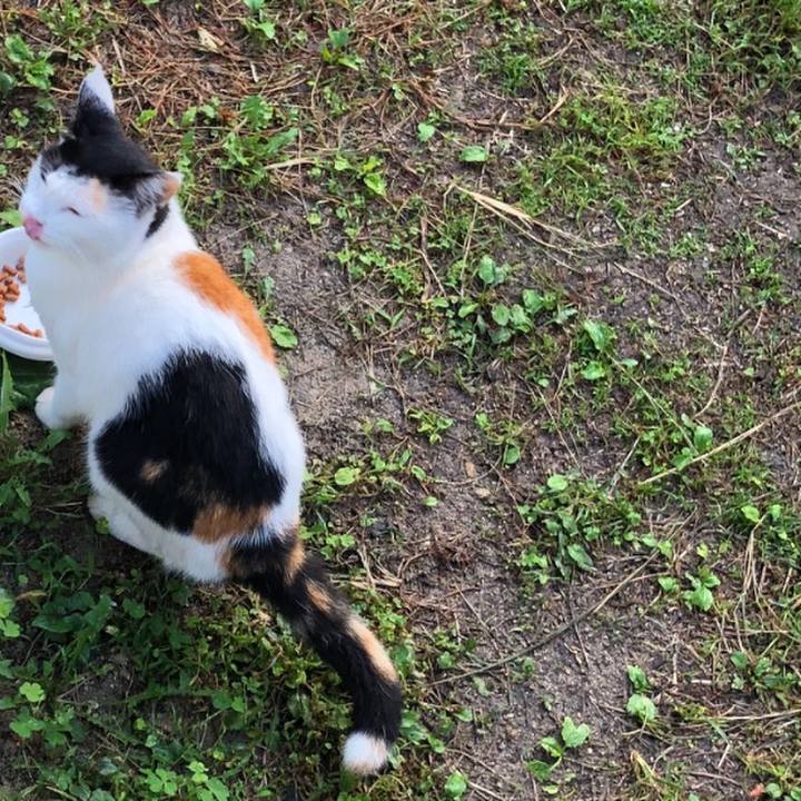 11062dce 7385 414c 94b6 b11ca4ae5796 1600986210129