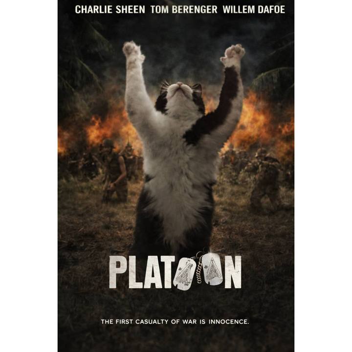 11064b62 aeba 4b10 a439 2d09be225050 1767498261702